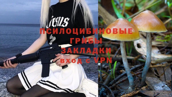 стаф Слюдянка