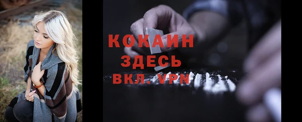 дживик Семилуки