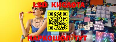 стаф Новозыбков