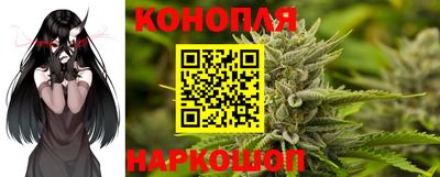 стаф Новозыбков