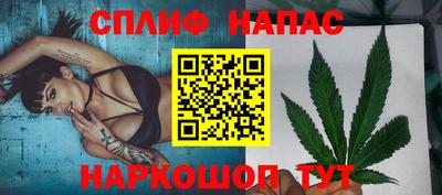 стаф Новозыбков