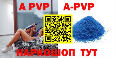 стаф Новозыбков