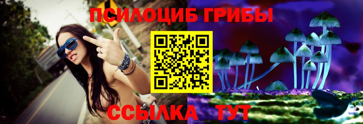 Славгород  Псилоцибиновые грибы ЛСД  где купить наркоту  Вход с VPN 